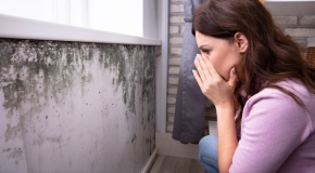 Side view of a shocked young woman looking at mold on the wall under her window and worried about indoor air quality. 