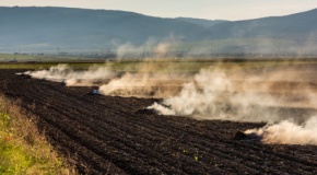 Farmers burn the dry grass and straw stubble on fields in autumn, practicing outdoor burning safety.
