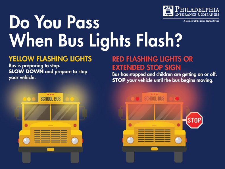 School Bus Lights Infographic