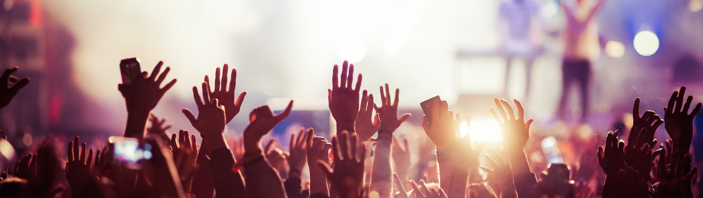 A crowd of cheering people at a concert face a lighted stage and have their arms raised.